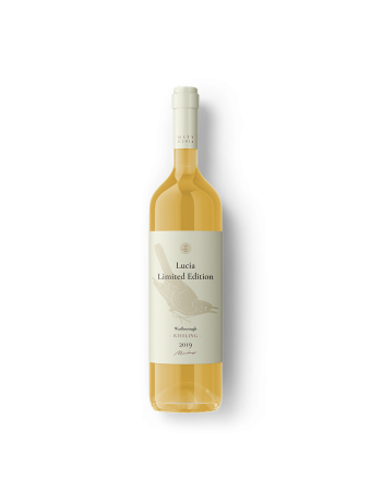 2019 Veinte Malbec, Colchagua Valley, Chile
