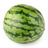 Malaysia Red Flesh Seedless Watermelon
