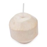 Young Coconut